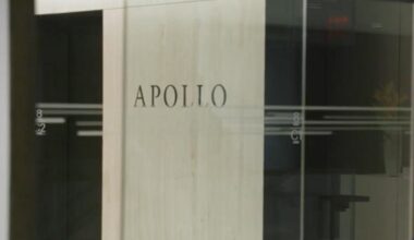 Apollo Invests $3.8 Billion in RWE JV to Expand German Power Grid