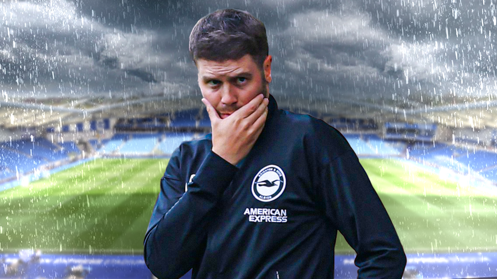 Brighton manager Fabian Hurzeler