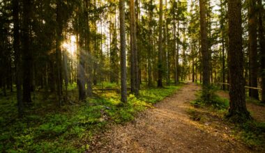 This knowledge can help inform decisions about population health and habitat loss.