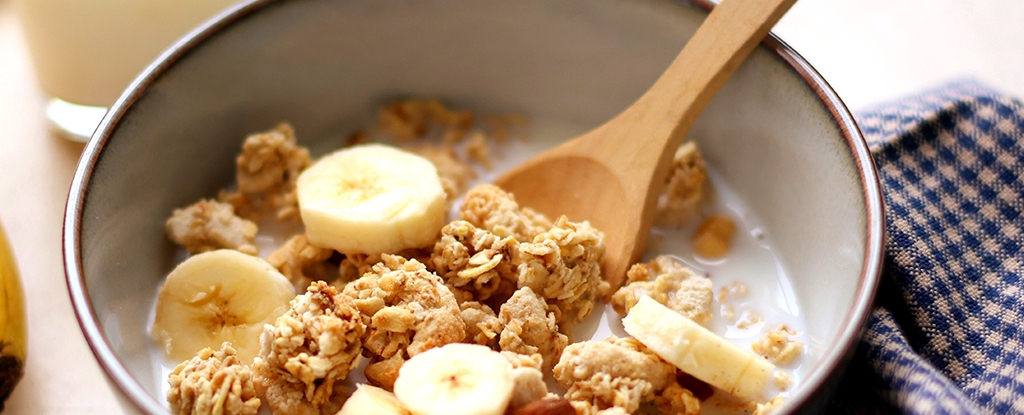 The Time of Day You Eat in Later Life Could Foreshadow an Early Death : ScienceAlert