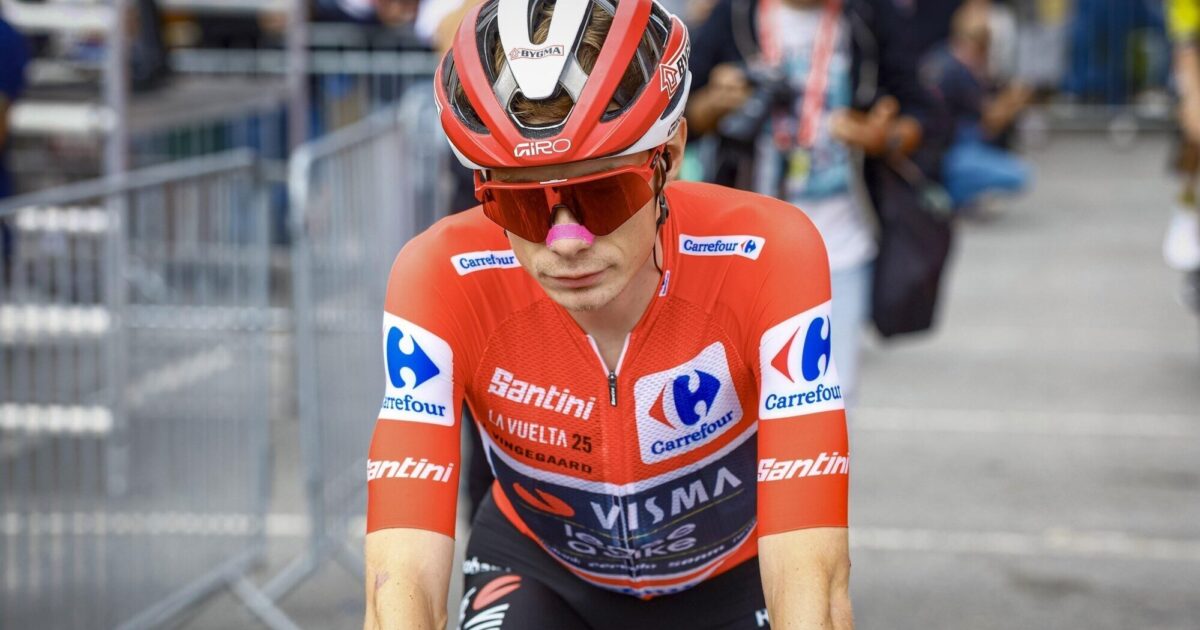 Team Visma | Lease a Bike | Team Visma