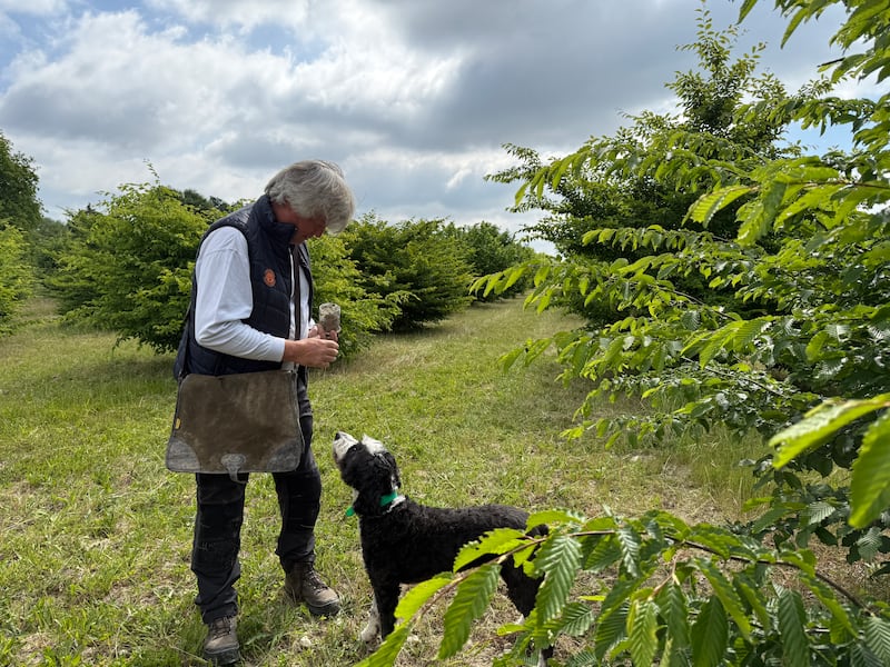 Serge Deszars with his dog Soda, truffle hunting in the Loire Valley. Photograph: Gemma Tipton