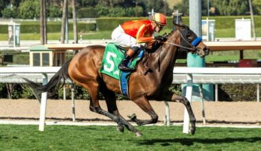 Andrew Champagne’s Three Value Plays Saturday at Santa Anita