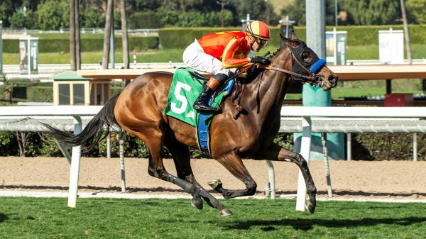 Andrew Champagne’s Three Value Plays Saturday at Santa Anita