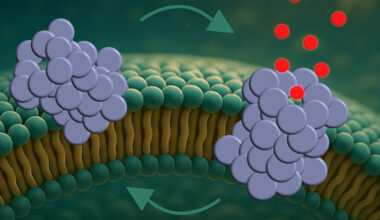 Protein That Pokes Holes in Cells Could Explain Parkinson's Decline : ScienceAlert