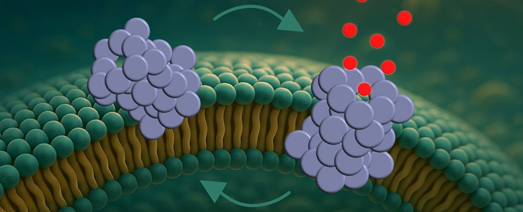 Protein That Pokes Holes in Cells Could Explain Parkinson's Decline : ScienceAlert