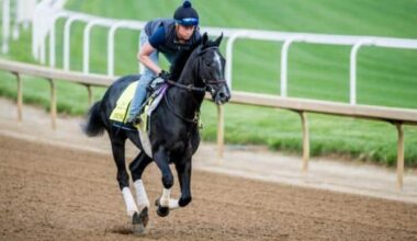 Chunk of Gold fires a bullet, leads 7 on tab