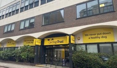 Dogs Trust sells £9m London headquarters named after ex-CEO