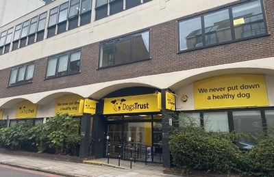 Dogs Trust sells £9m London headquarters named after ex-CEO