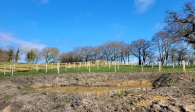 Wetland creation aims to boost wildlife habitats within River Ribble catchment