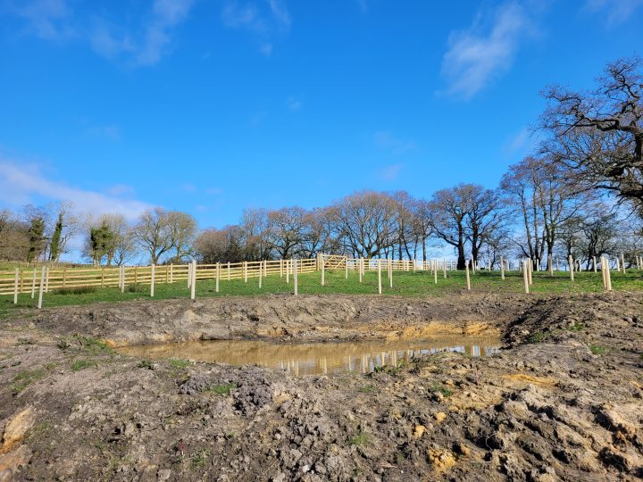 Wetland creation aims to boost wildlife habitats within River Ribble catchment