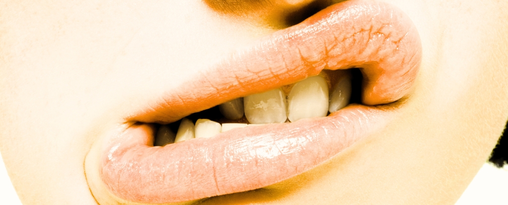 Giant Loops of DNA Discovered in Our Mouths Could Shield Us From Cancer : ScienceAlert