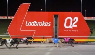 The Q race program update :: Racing Queensland
