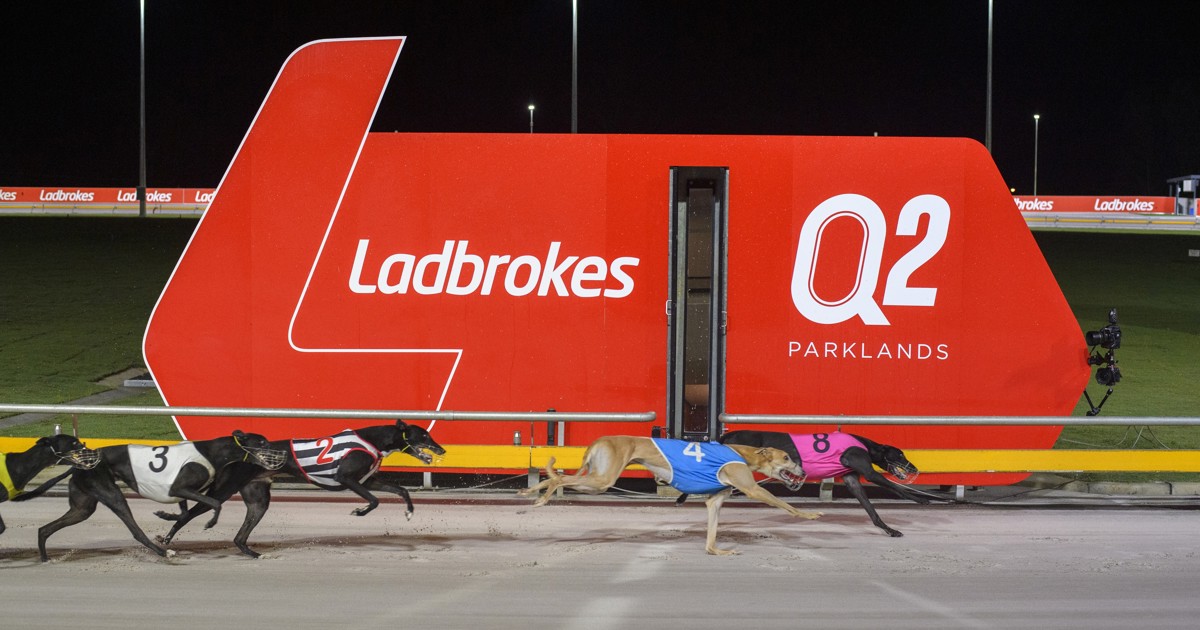 The Q race program update :: Racing Queensland
