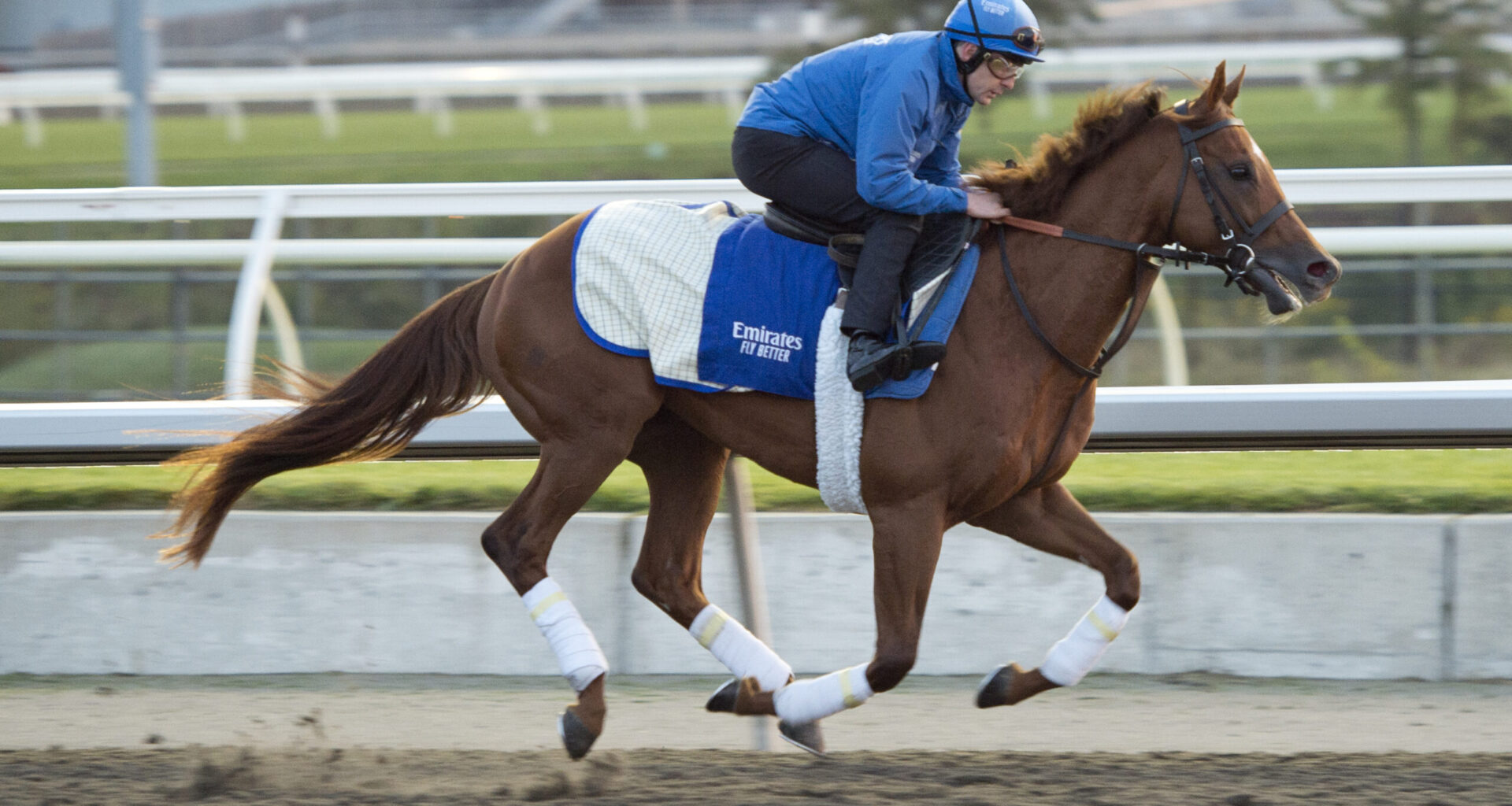 G1 Turf Champions Day: Rogers Woodbine Mile, bet365 Summer Stakes, and Johnnie Walker Natalma highlight exceptional stakes-laden Saturday card