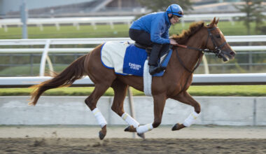 G1 Turf Champions Day: Rogers Woodbine Mile, bet365 Summer Stakes, and Johnnie Walker Natalma highlight exceptional stakes-laden Saturday card