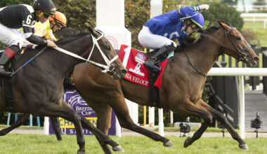 Corsia Veloce takes fast lane to Grade 1 Johnnie Walker Natalma Stakes glory