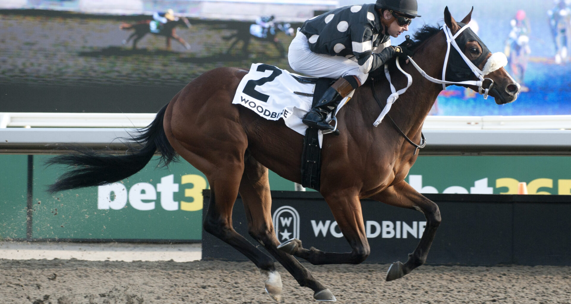 Souper Diva delivers again, this time in Victorian Queen / Golden moment: Silver Is Best is best in Bull Page