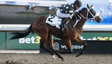 Souper Diva delivers again, this time in Victorian Queen / Golden moment: Silver Is Best is best in Bull Page