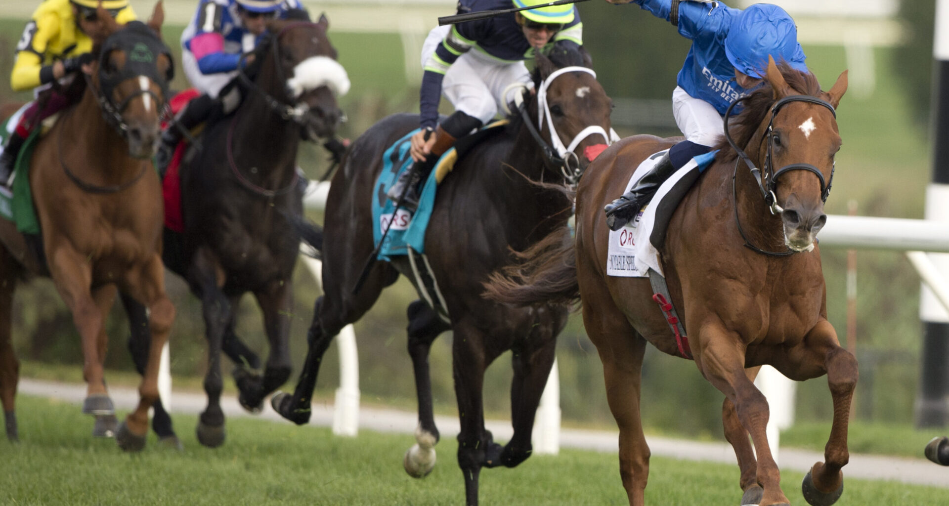 2025 Turf Champions Day generates strong numbers at Woodbine