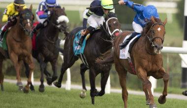 2025 Turf Champions Day generates strong numbers at Woodbine