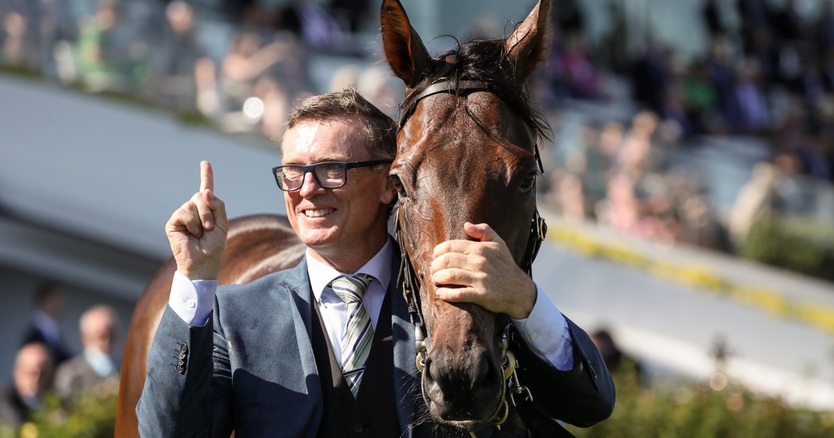 Vandyke hopes Cherish The Day can go to next level :: Racing Queensland
