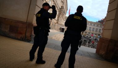 France, Sweden send anti-drone units to Denmark to secure EU summit