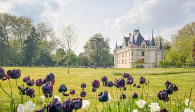 live a gilded life on a trip to the Loire Valley in France – The Irish Times