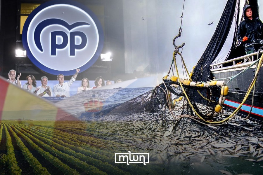 Spain’s Popular Party Maneuvers Against Morocco in European Parliament