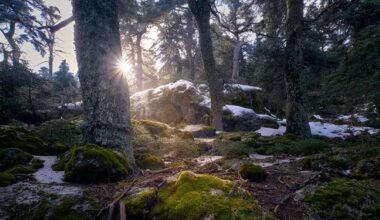 New Footpath in El Burgo, Spain: Enhancing Accessibility and Promoting Sustainable Tourism in Sierra de las Nieves National Park