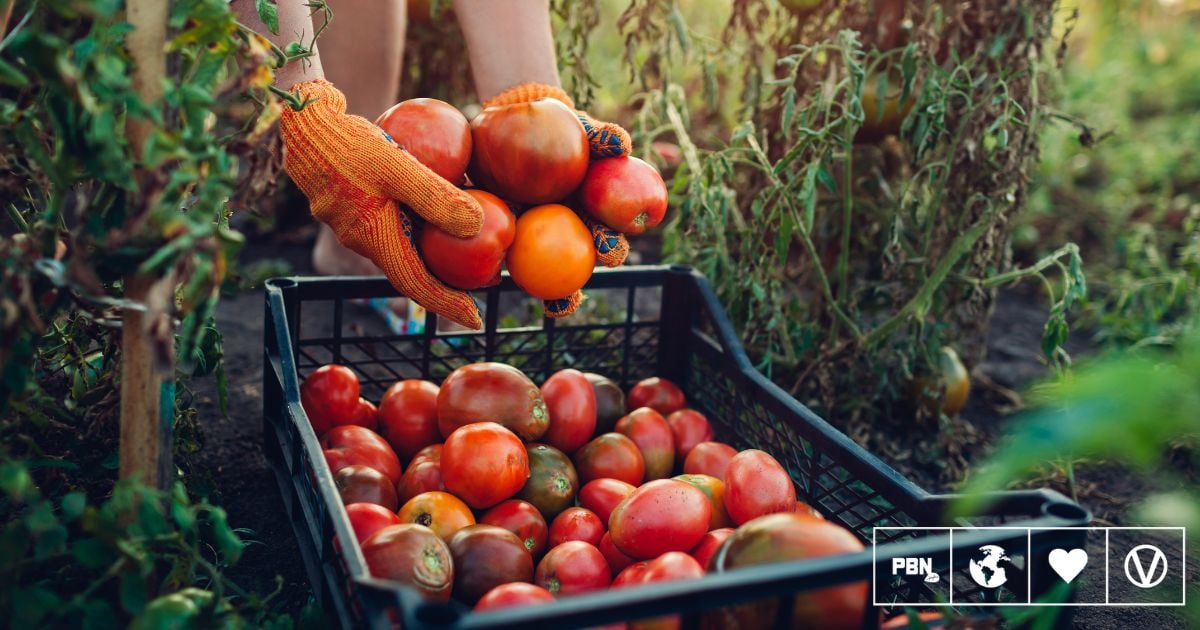 Europe Is Investing More Than $2.5 Million To Promote Plant-Based Foods