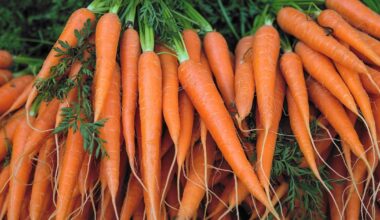 Benicaros gains EU approval