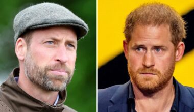 Prince William Reportedly ‘Worried’ About Charles’ Upcoming Meeting With Harry: It’s a ‘Terrible Idea’ – Star Magazine