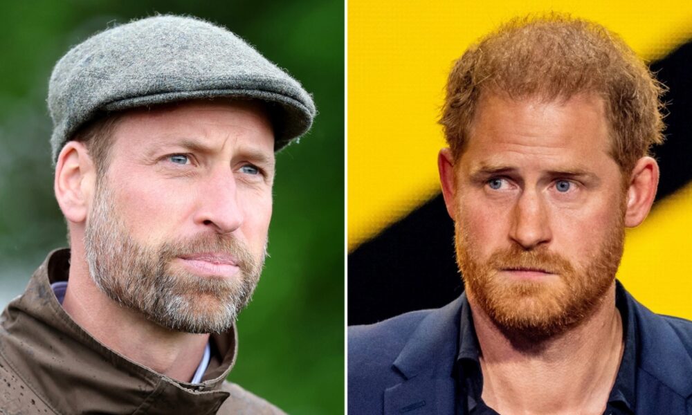 Prince William Reportedly ‘Worried’ About Charles’ Upcoming Meeting With Harry: It’s a ‘Terrible Idea’ – Star Magazine