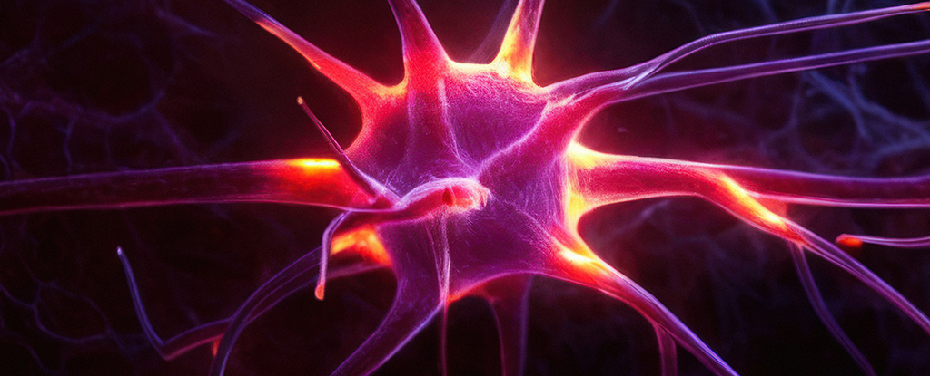 Parkinson's Disease Could Be Ignited by Burned-Out Brain Cells : ScienceAlert