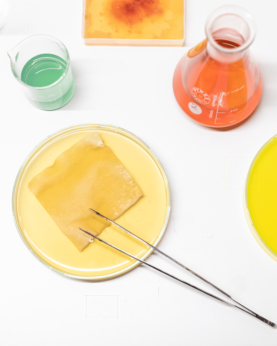 Fungal pigments and dyes for textiles at BioFab Fair