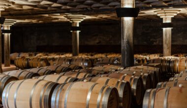 Why hometown hero Garnacha still matters in northeast Spain