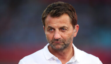 Tim Sherwood bizarrely overlooks two Newcastle United players in England selection