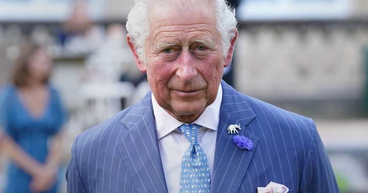 A royal revival? Canadians warming to the monarchy again, Ipsos poll finds - National