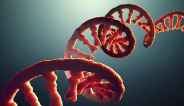 Messenger RNA (mRNA) strand illustration