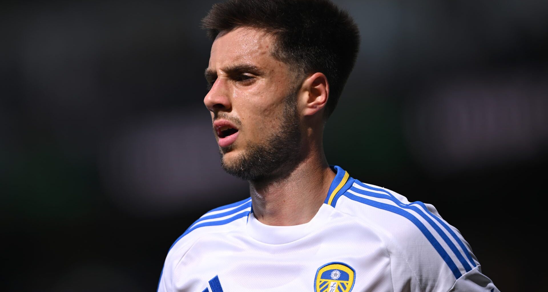 Ilia Gruev in profile - Age, salary, transfer fee and stats for Leeds United midfielder