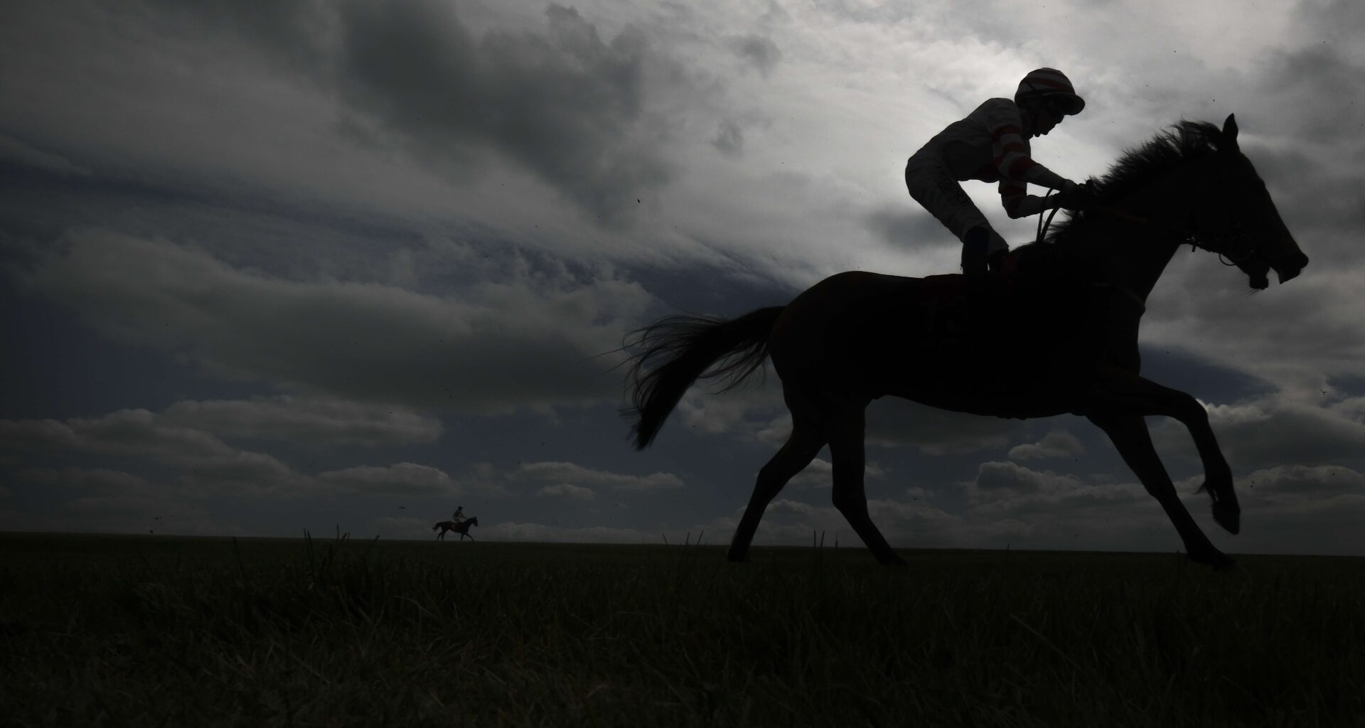 Three wagers for Newmarket | The Spectator