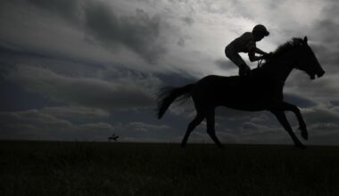 Three wagers for Newmarket | The Spectator