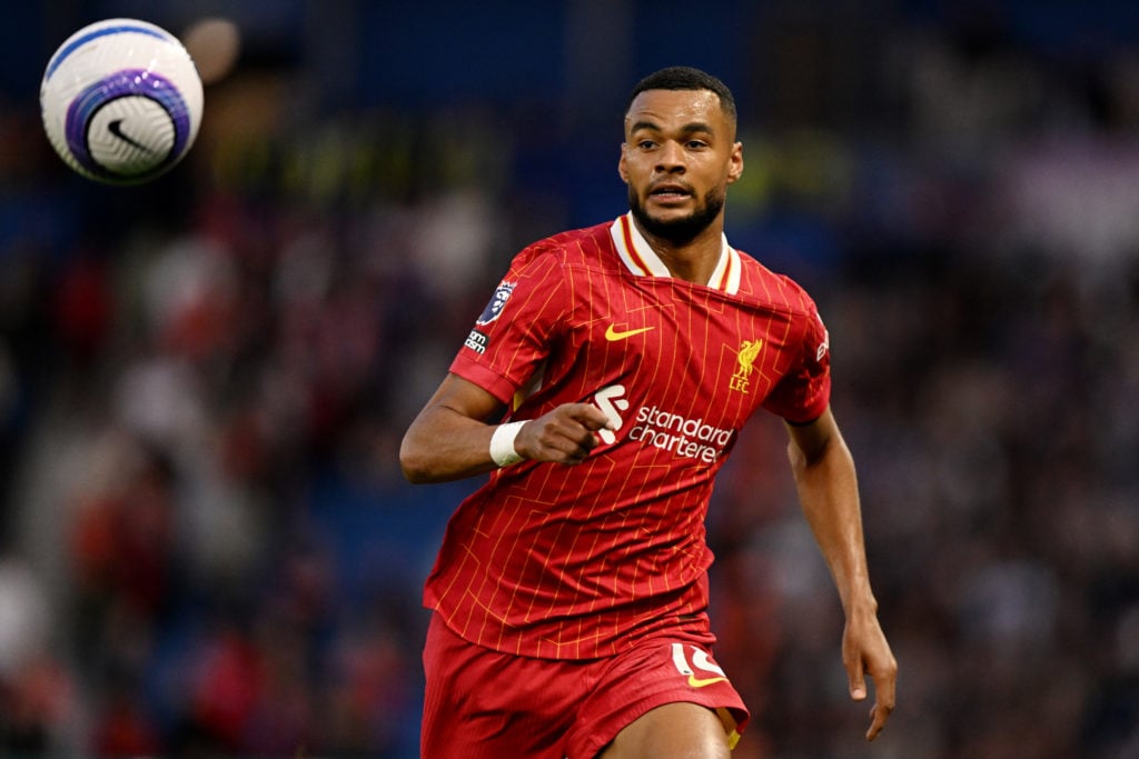 Liverpool winger Cody Gakpo