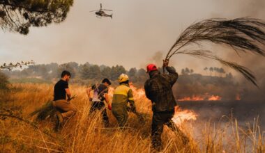 Fresh wildfires break out in Portugal and Spain