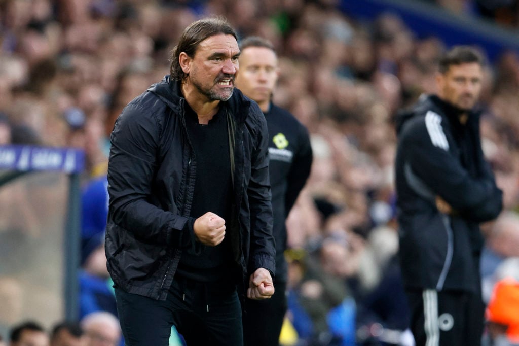Daniel Farke during Leeds' clash against Newcastle.