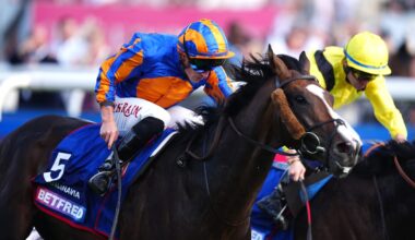 Scandinavia to miss Melbourne Cup as O’Brien puts St Leger winner aside until 2026