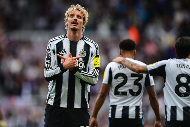 Newcastle United v Wolverhampton Wanderers - Premier League