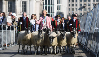One Of The City’s Highest Honours Allows You To Drive A Flock Of Sheep Across A London Bridge — And The Likes Of Morgan Freeman, Florence Nightingale and Princess Diana Have All Been Awarded