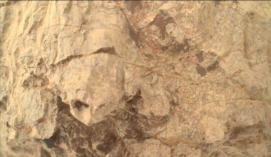 A close up image shows the jagged edge of a light brown rock that looks like the head of a turtle poking out of its shell